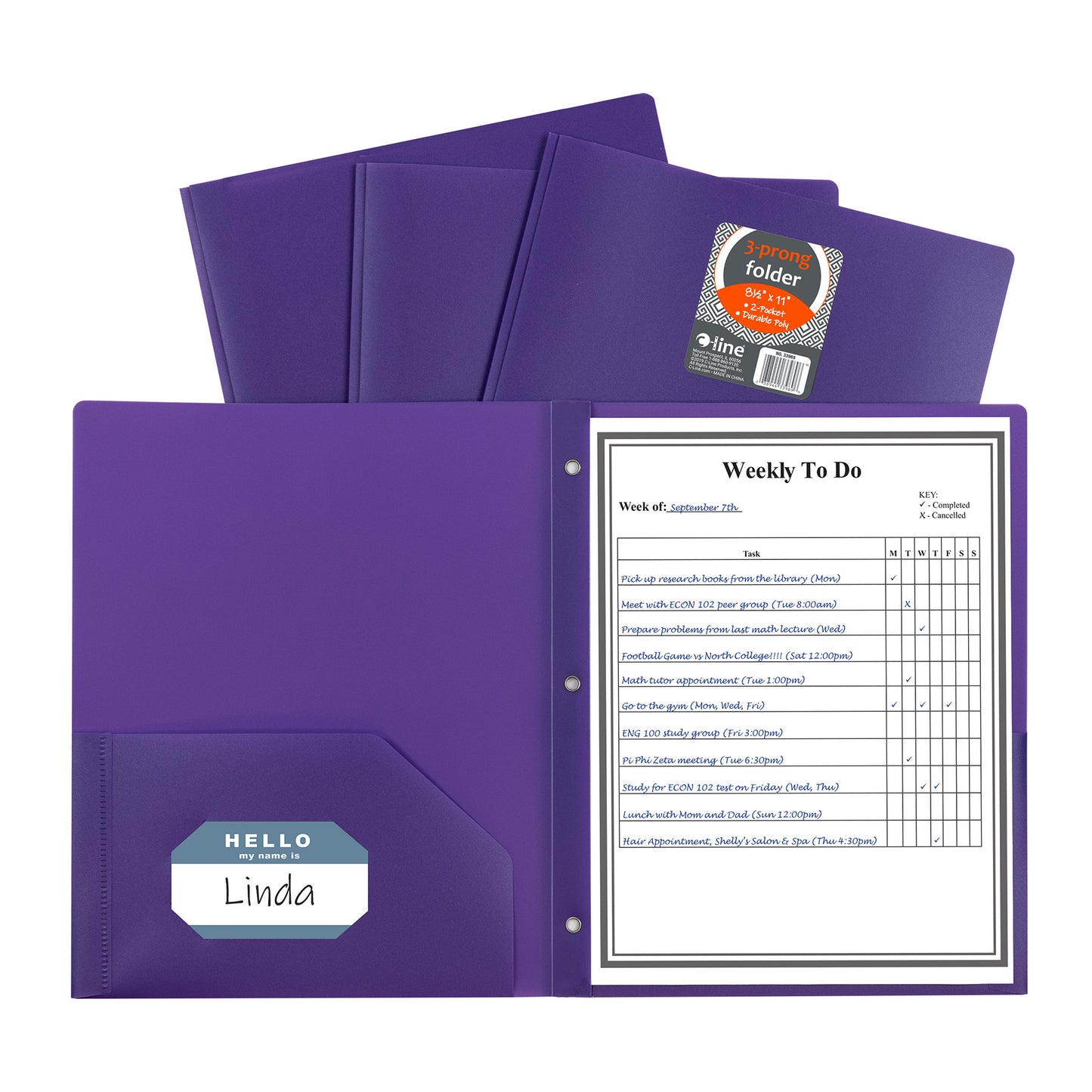 Two-Pocket Heavyweight Poly Portfolio Folder with Prongs, Purple, Pack of 25