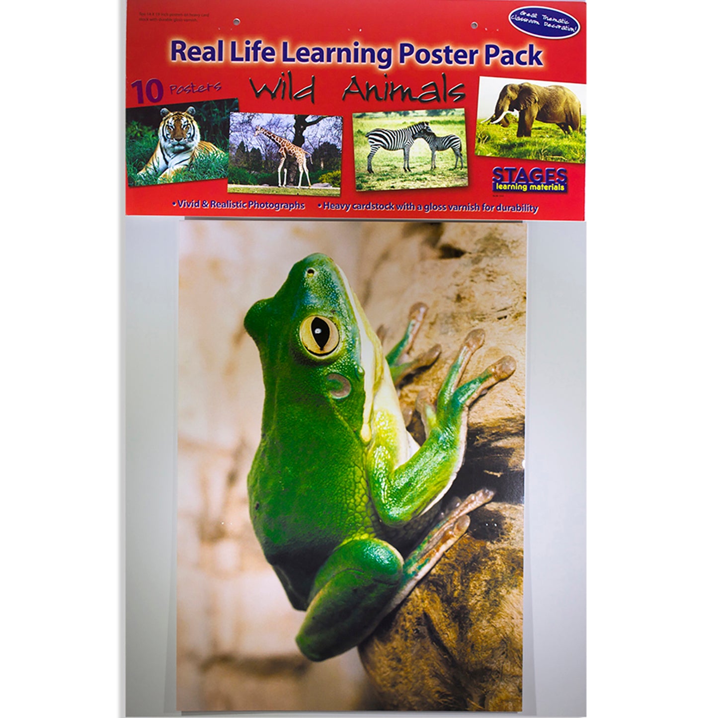 Wild Animals Poster Set, Set of 10