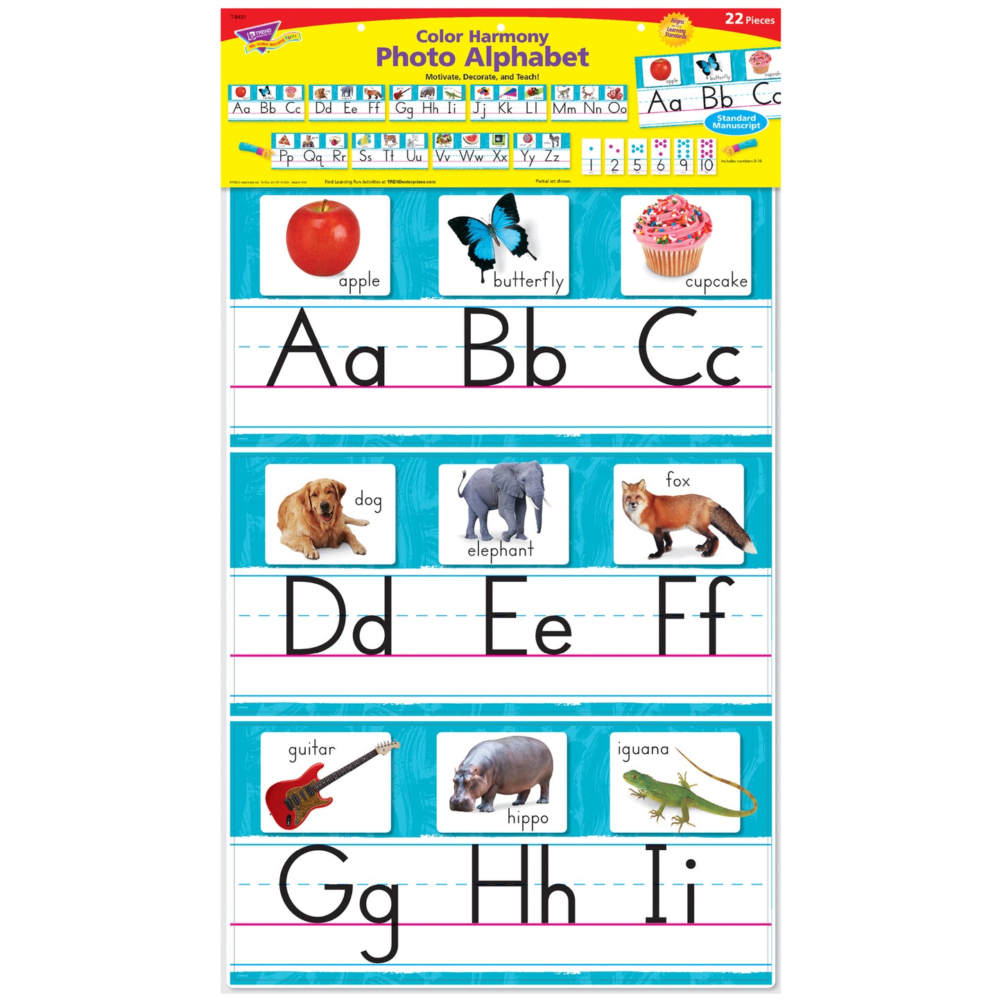 Color Harmony Photo Alphabet Bulletin Board Set