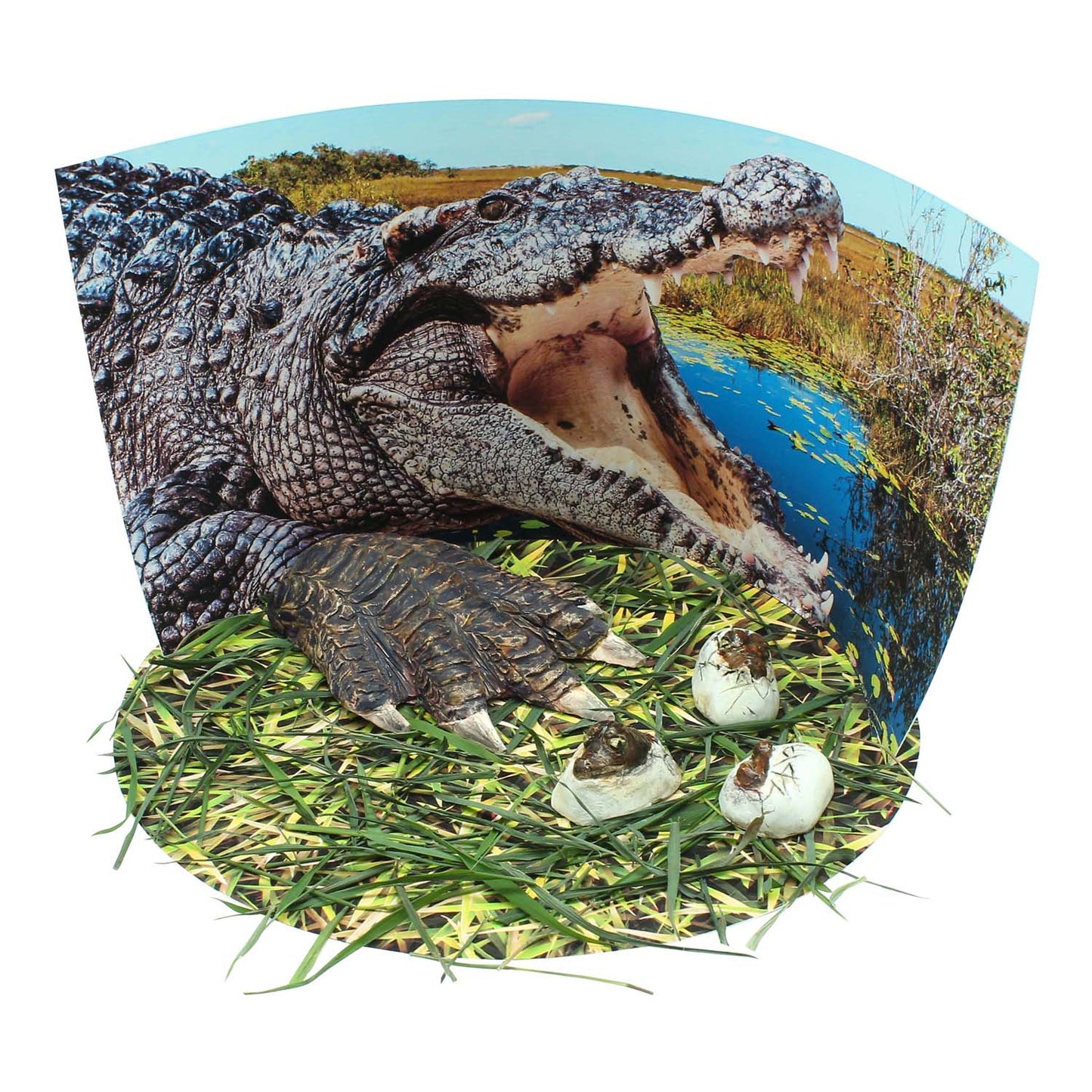 Extreme Crocodiles of the World - For Ages 6+ - Create and Customize Models and Dioramas - Study the Most Extreme Animals