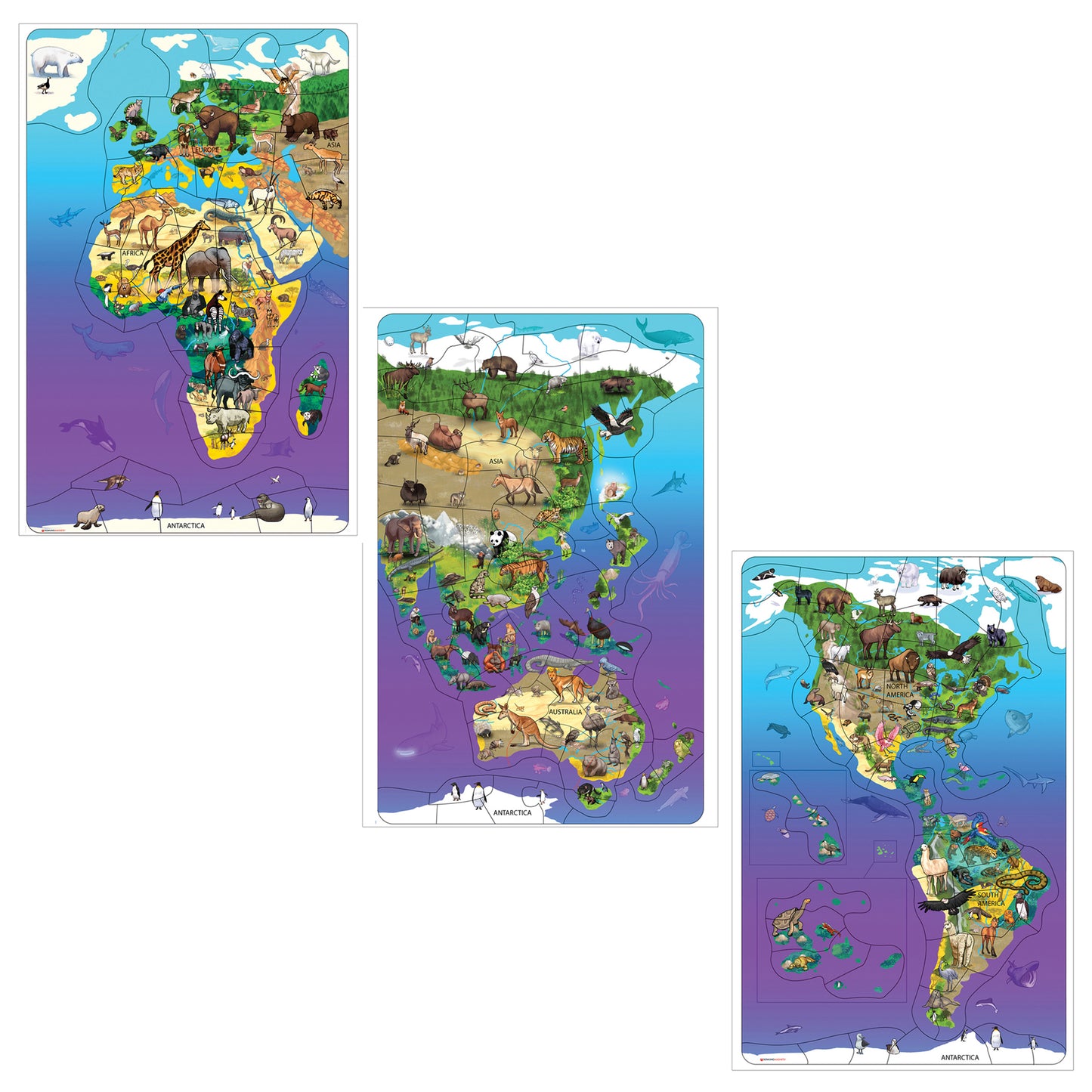 Animal Magnetism® Magnetic Wildlife Map Puzzle Bundle, Set of 3