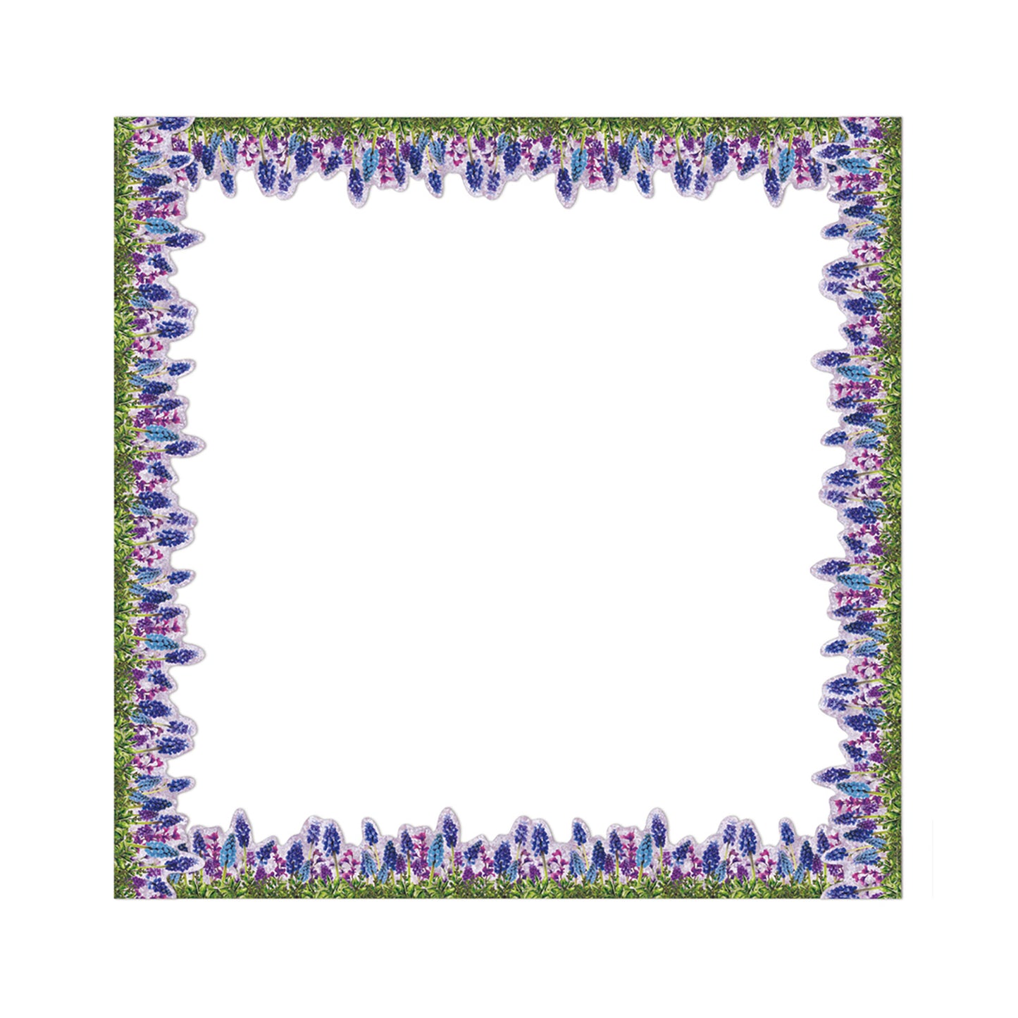 Curiosity Garden Die-Cut Floral Extra Wide Deco Trim®, 37 Feet Per Pack, 6 Packs