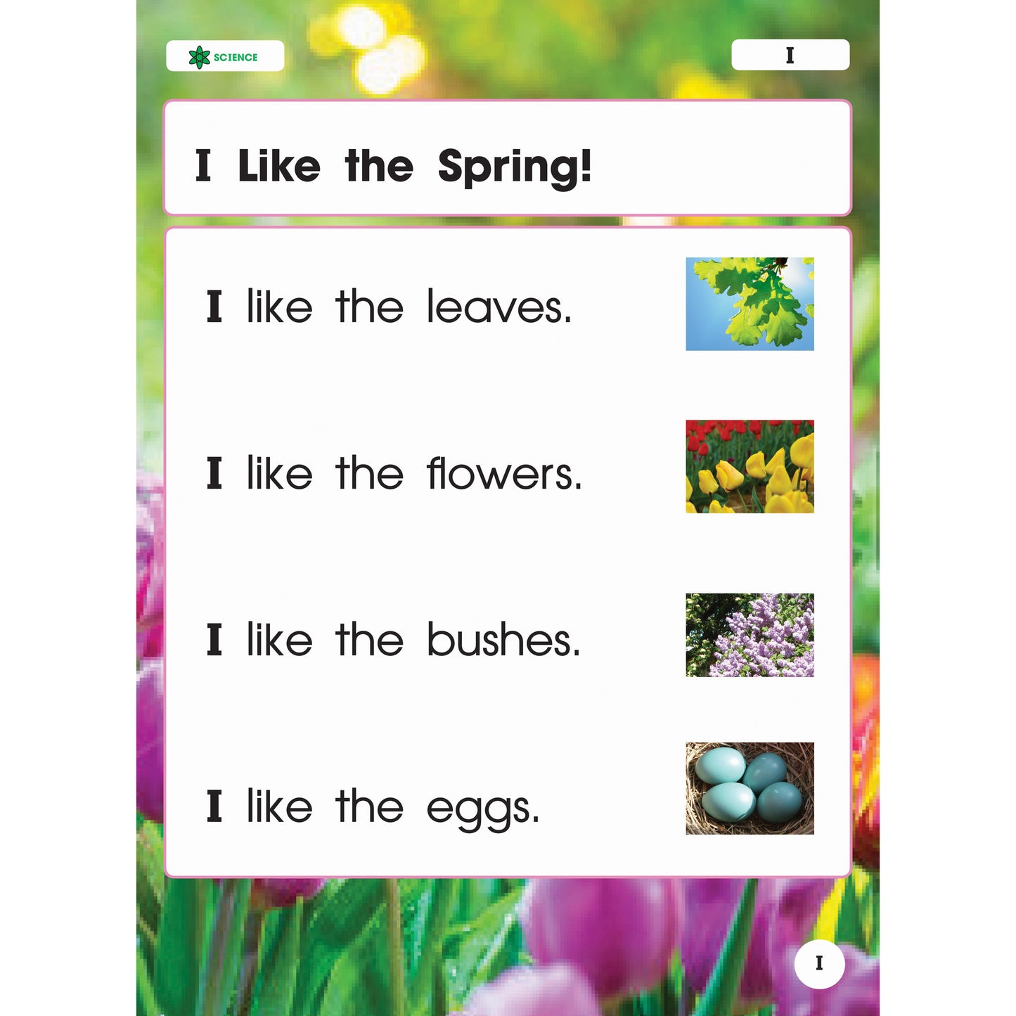 Nonfiction Sight Words Learning Flip Chart