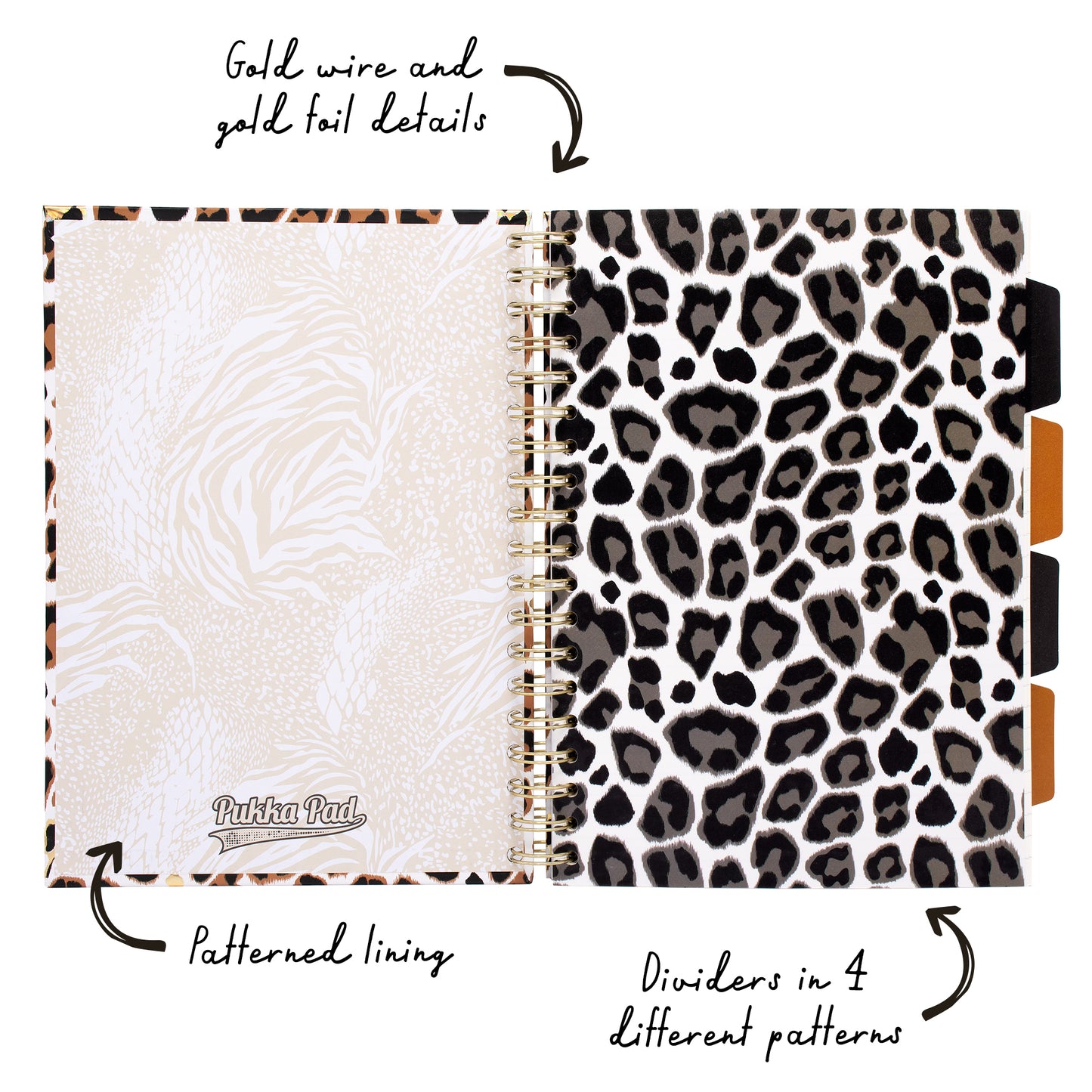 B5 Wild Project Book - Assorted - Pack 2