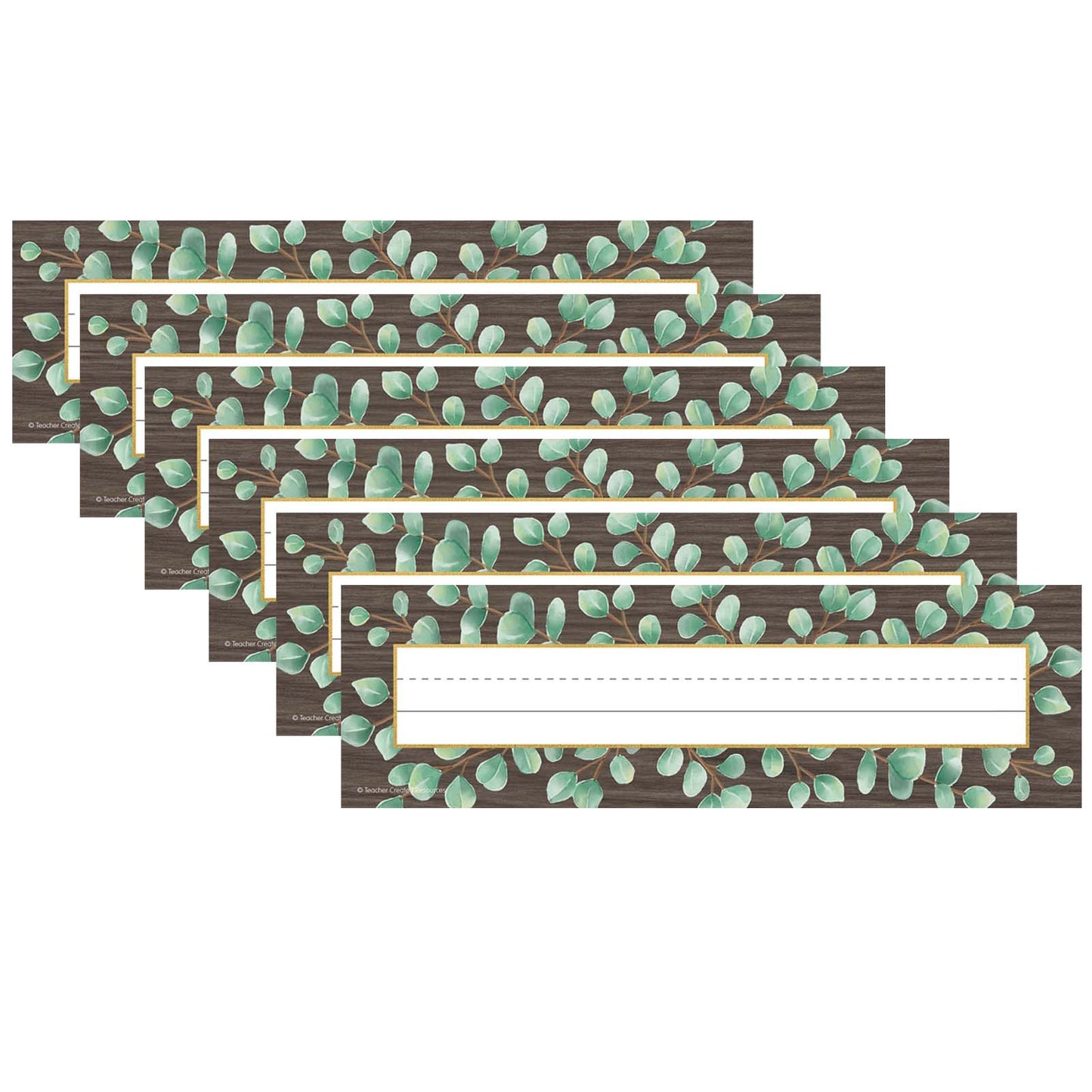 Eucalyptus Flat Name Plates, 36 Per Pack, 6 Packs
