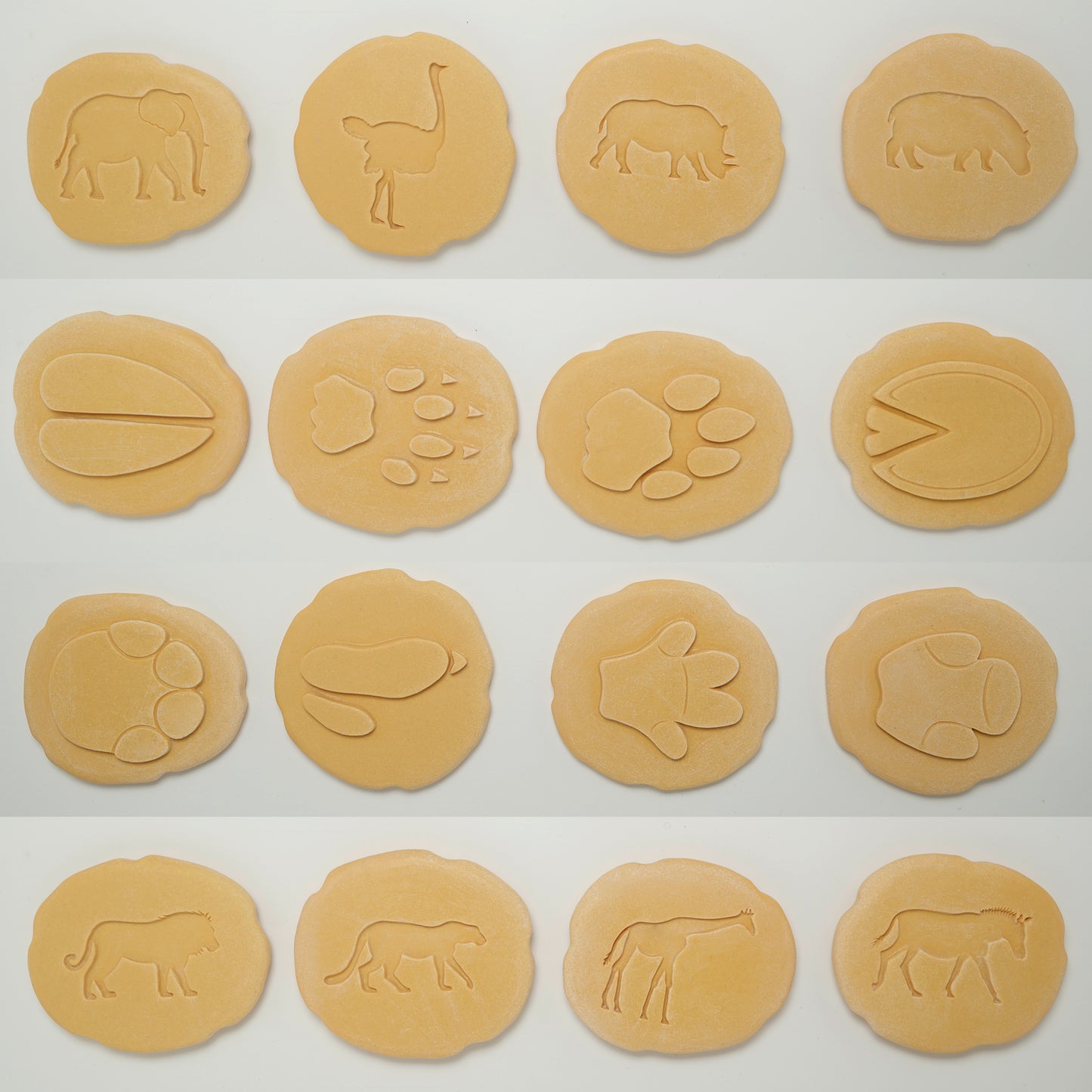 Let's Investigate Safari Footprints